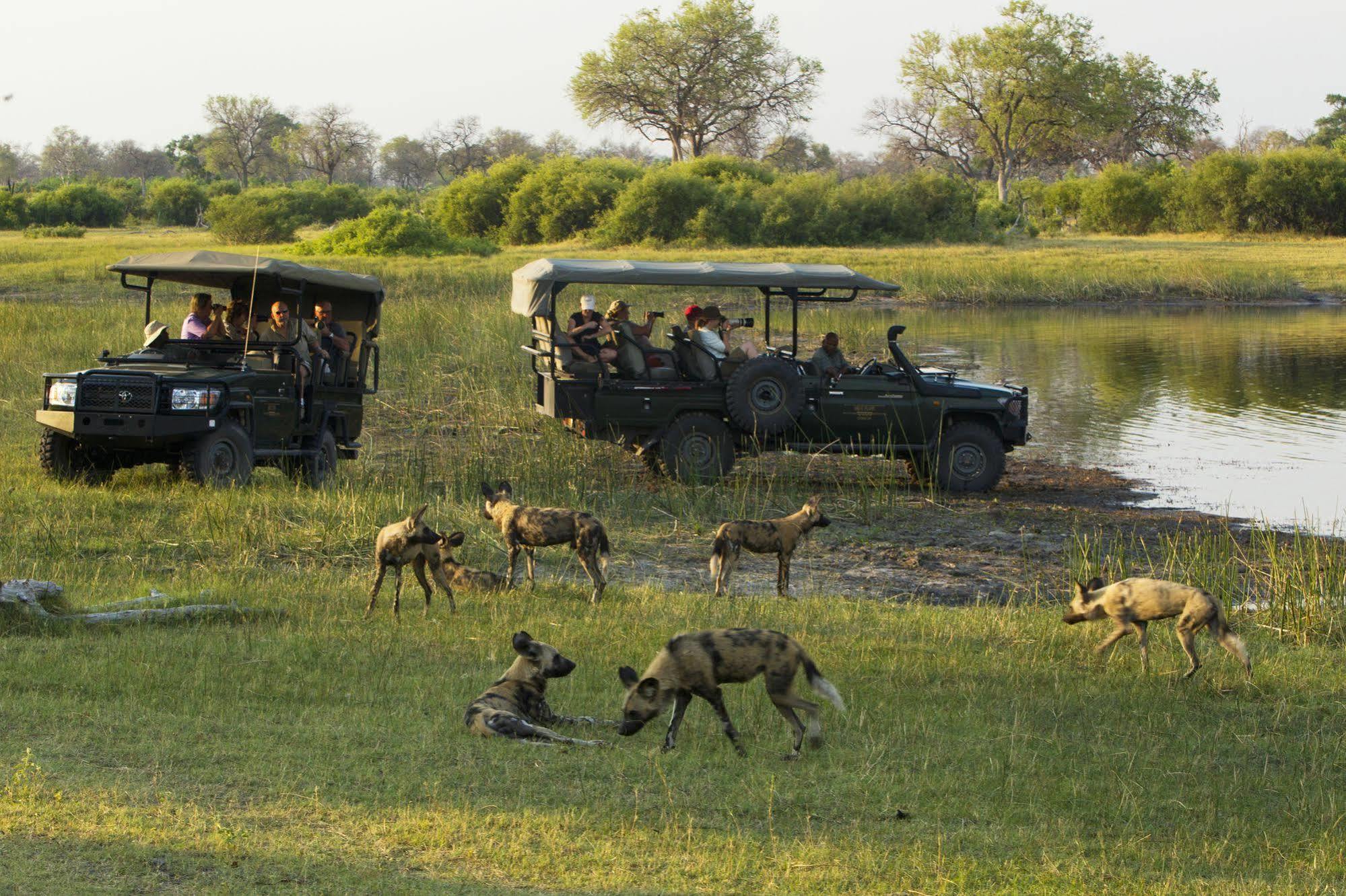 Отель Selinda Camp Selinda Reserve Экстерьер фото