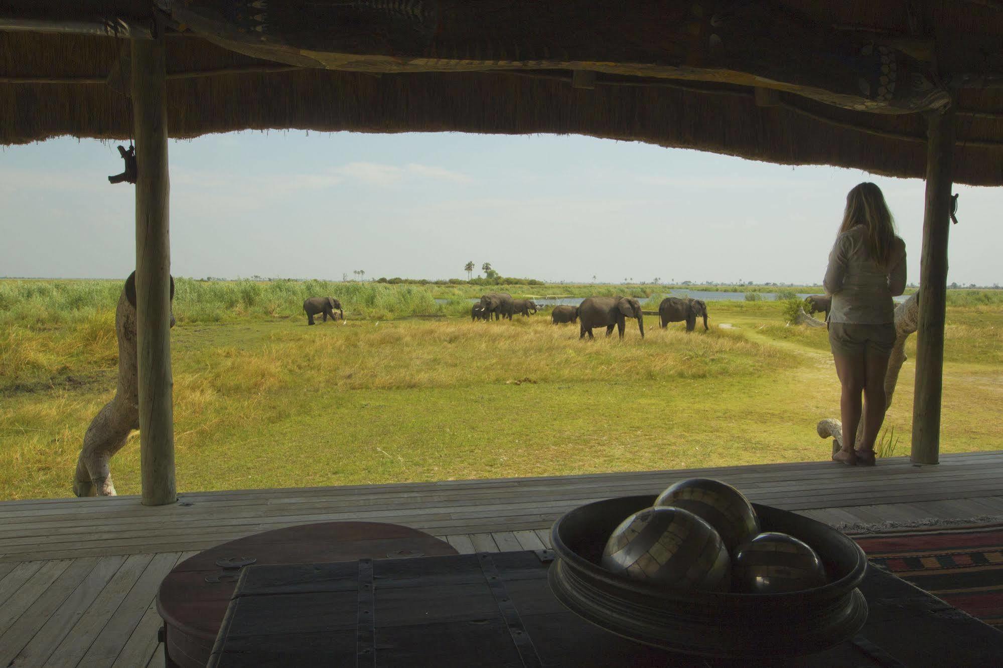 Отель Selinda Camp Selinda Reserve Экстерьер фото