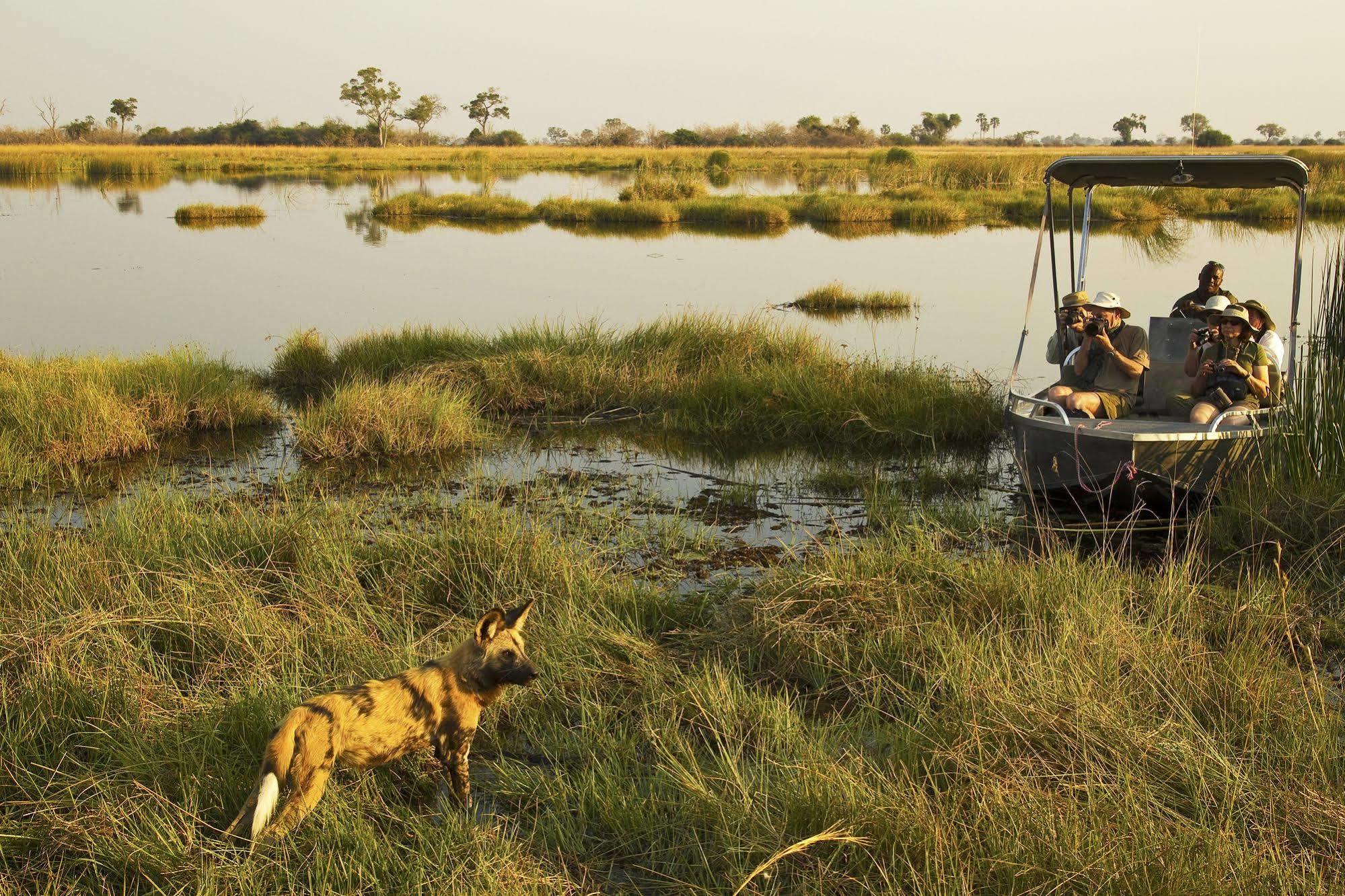 Отель Selinda Camp Selinda Reserve Экстерьер фото
