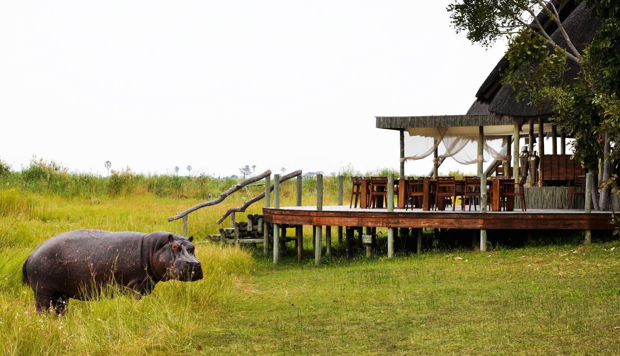 Отель Selinda Camp Selinda Reserve Экстерьер фото