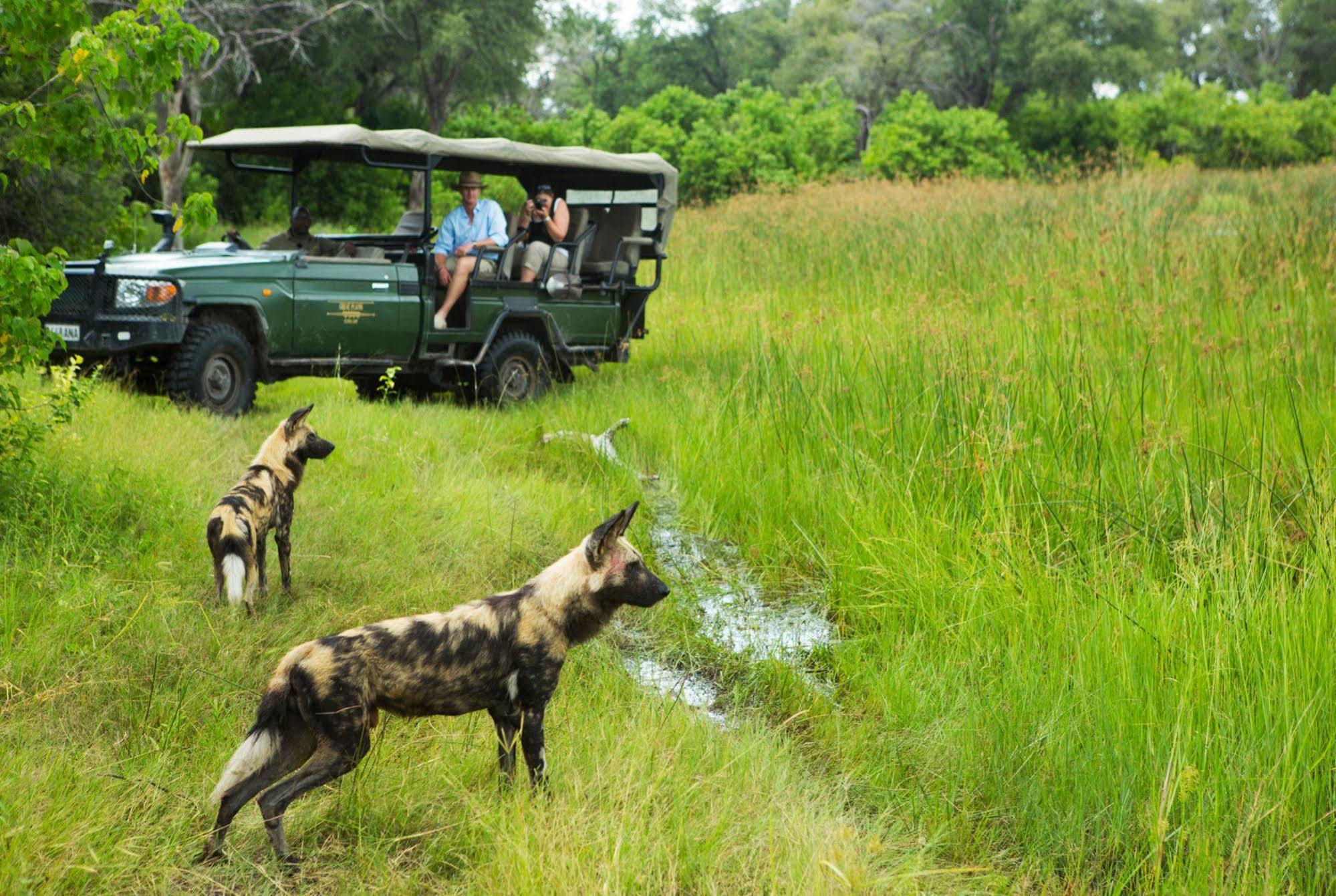 Отель Selinda Camp Selinda Reserve Экстерьер фото